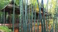 Bambusové moře