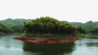 Unikátní přírodní rezervace, kterou kdysi obývali bandité. Vítejte v čínském Bambusovém moři