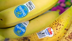 Ekvádorské banány různých odstínů.