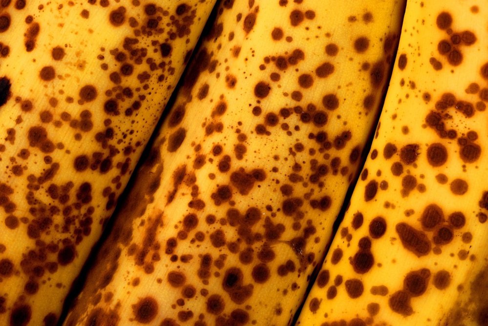 Hnědé skvrny nejsou v tomto případě znakem shnilého ovoce, ale typickým znakem odrůdy sladkých měkkých banánů k přímé konzumaci