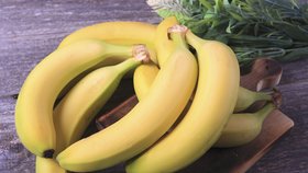 Banány Cavendish jsou nejoblíbenější na světě. Nejspíš ale bude muset přijít nová odolnější odrůda