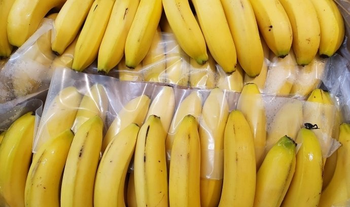 Krabice plná banánů
