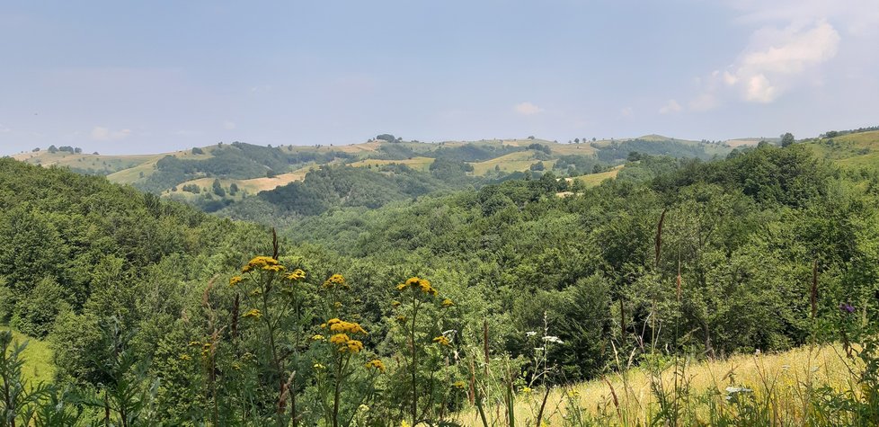 Banát připomíná přírodou českou krajinu