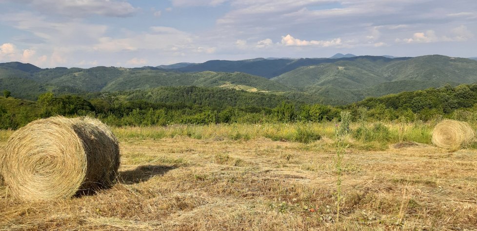 Banát připomíná přírodou českou krajinu