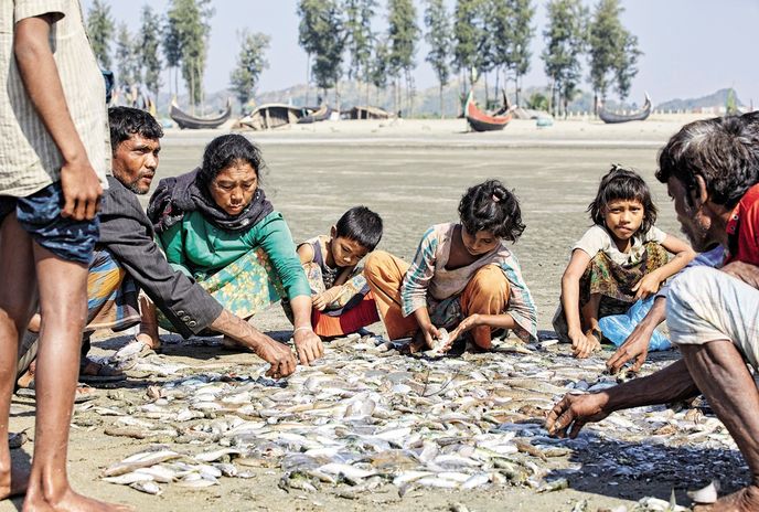 Po výlovu ryb Po výlovu ryb