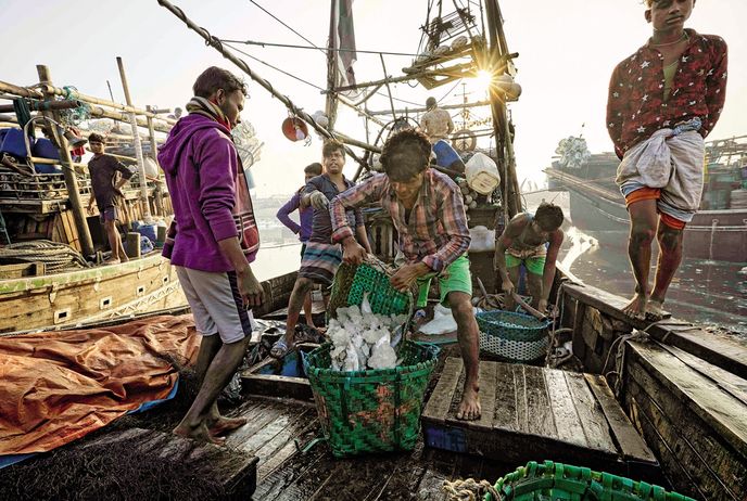 Brzo ráno za úsvitu se rybáři vracejí s úlovkem. V přístavišti vše hned třídí do košů, ledují a expedují na tržnici. Brzo ráno za úsvitu se rybáři vracejí s úlovkem. V přístavišti vše hned třídí do košů, ledují a expedují na tržnici.