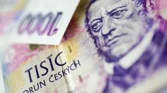 České trhy straší krizové stigma