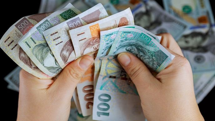 Některým bankovkám v ČR končí platnost.
