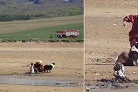 Chlapeček na Uherskohradišťsku zapadl po pás do bahna rybníka: Vytáhnout ho museli hasiči
