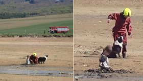 Chlapeček na Uherskohradišťsku zapadl po pás do bahna rybníka: Vytáhnout ho museli hasiči