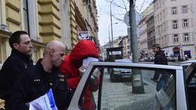 Muž skončil v policejní vazbě.