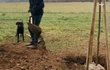 Bára Jánová a Ladislav Ondřej zasadili strom Bára Jánová a Ladislav Ondřej zasadili strom