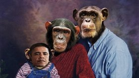 Americká republikánka Marilyn Davenport rozeslala mailem kolegům koláž, na níž je zobrazena šimpanzí rodinka s potomkem majícím tvář prezidenta Baracka Obamy. Rasistické jí to prý vůbec nepřijde