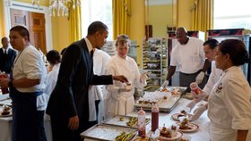 Obama na revizi v kuchyni Bílého domu