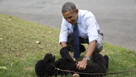 Různé tváře Baracka Obamy: Se psem Boem