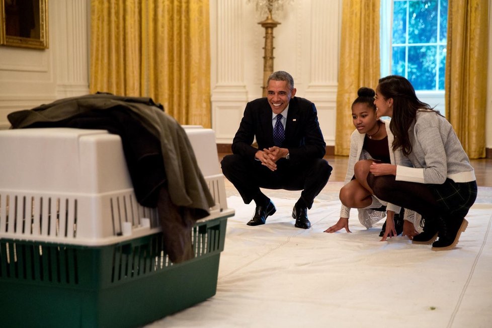 Různé tváře Baracka Obamy: Se dcerami a krocanem na díkůvzdání