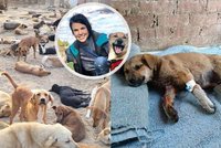 Bára se vdala za Egypťana a odhalila zákulisí turistického ráje: Pokusy na psech zaživa, otravy strychninem!