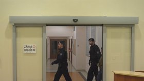 Policisté přivádí schizofreničku k soudu.