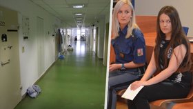 Pobodala učitelku a zabila Petra (†16): Vražedkyně Barbora Orlová míří na svobodu?!