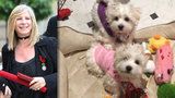 Barbra Streisand si nechala naklonovat zesnulého psa. Dostala hned dvě kopie