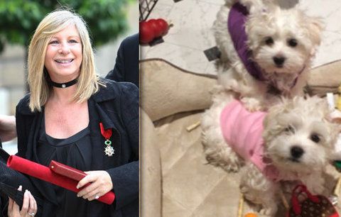 Barbra Streisand si nechala naklonovat zesnulého psa. Dostala hned dvě kopie