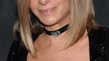 Barbra Streisand chystá dražbu svých věcí