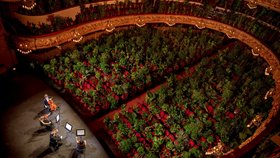 Opera v Barceloně odehrála koncert pro pokojové rostliny (22. 6. 2020).