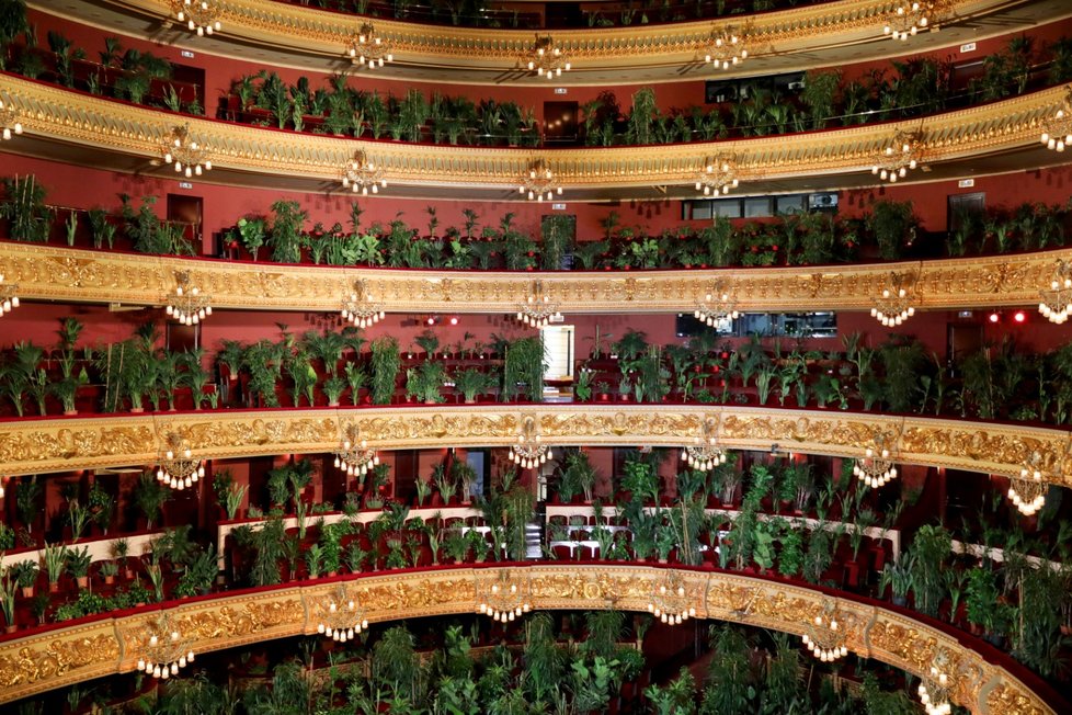 Opera v Barceloně odehrála koncert pro pokojové rostliny (22. 6. 2020).