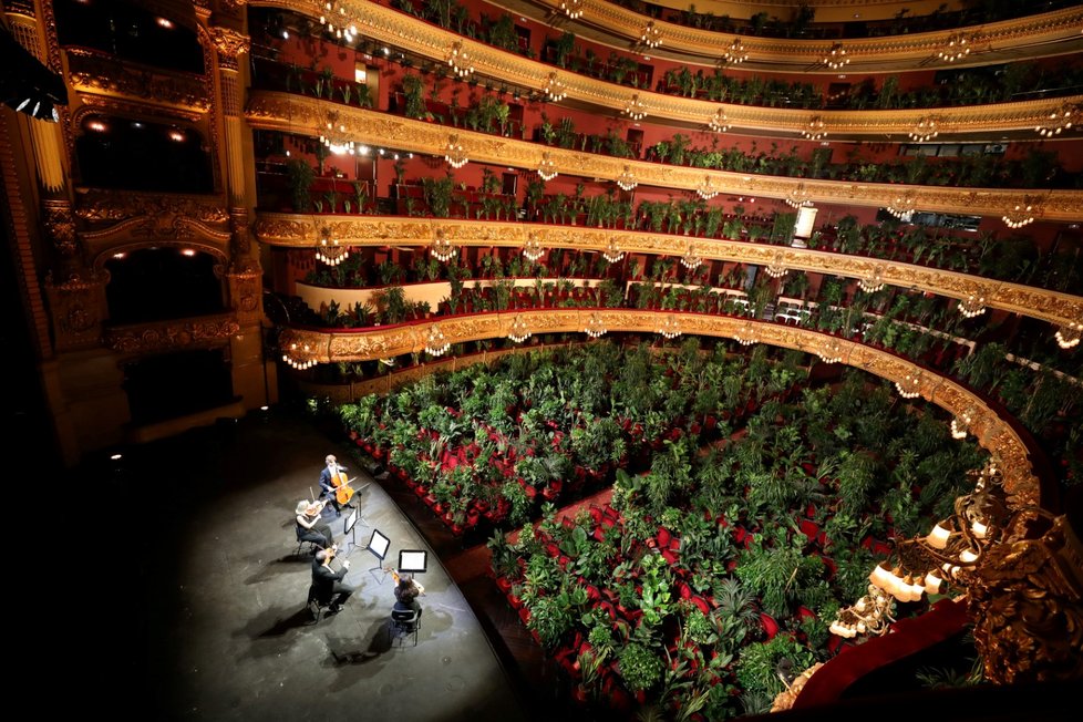 Opera v Barceloně odehrála koncert pro pokojové rostliny (22. 6. 2020).