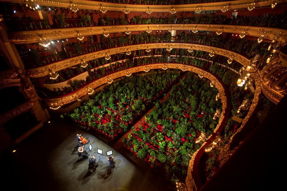 Opera v Barceloně odehrála koncert pro pokojové rostliny (22. 6. 2020).