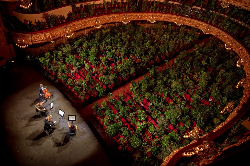 Opera v Barceloně odehrála koncert pro pokojové rostliny (22. 6. 2020).