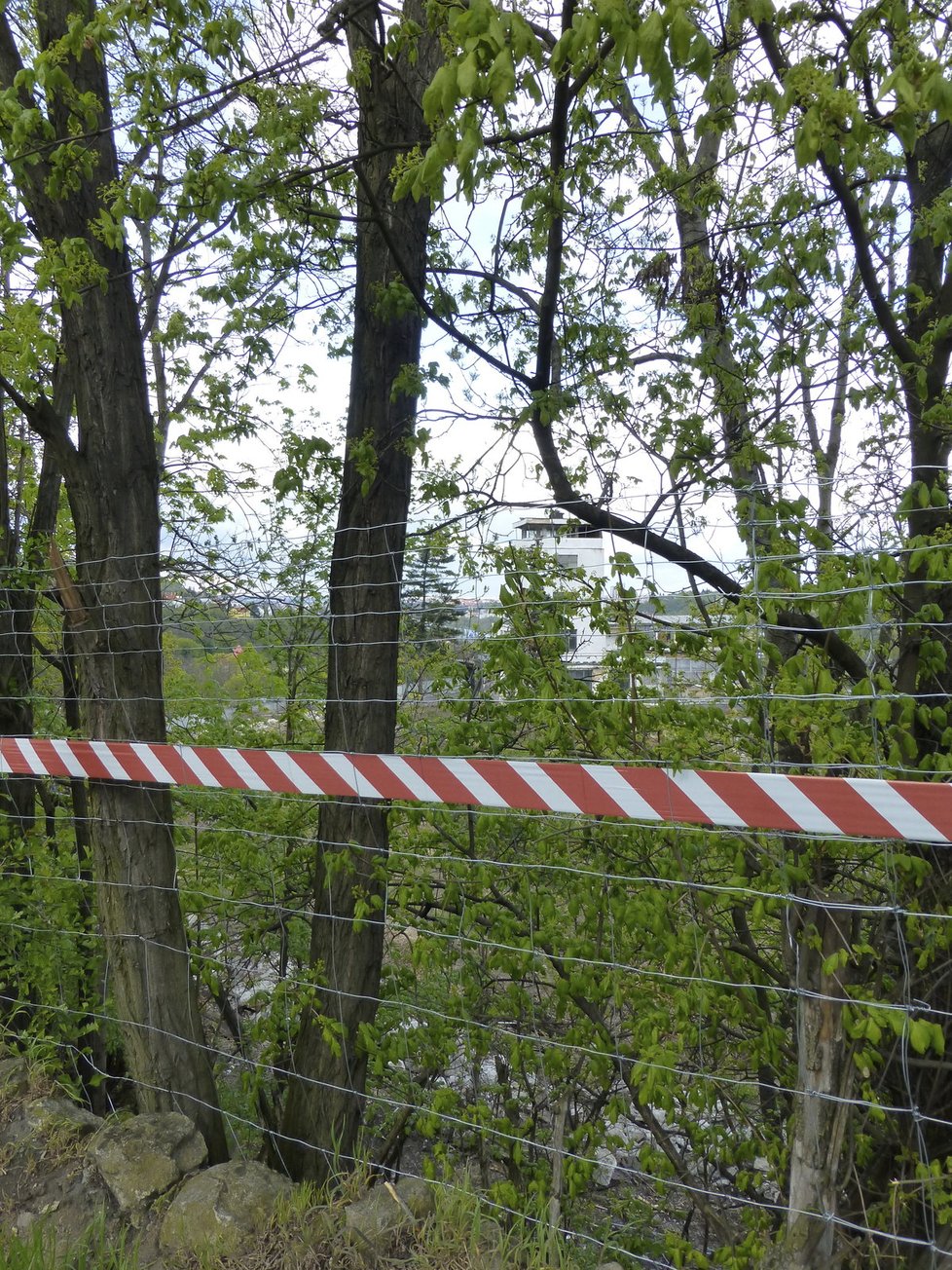 Práce na pozemku Barrandovských teras i nadále pokračují, ke své minulé slávě však musí projít ještě dlouhou cestu.