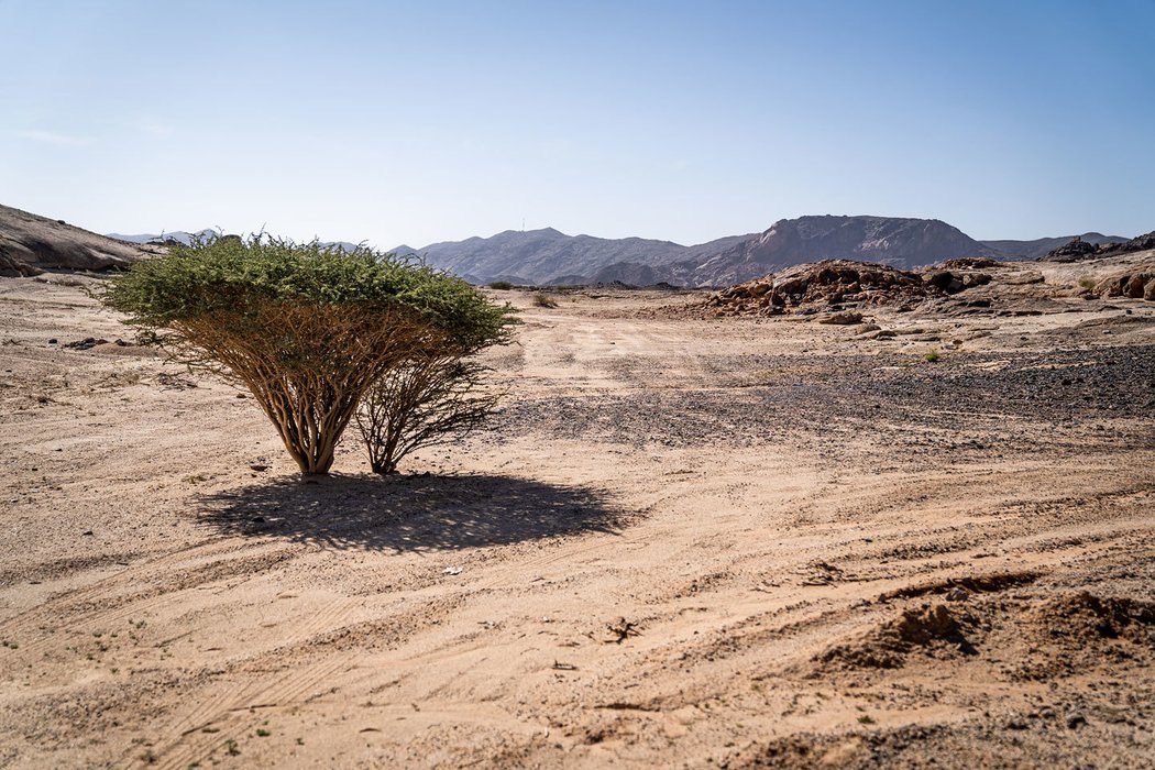 Dakar 2020 Barth Racing