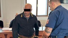 Za bezitnou vraždu ženy (†42) dostal Bartolomej H. (49) ze Sokolovska výjimečných 22 let vězení.