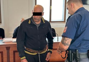 Za bezitnou vraždu ženy (†42) dostal Bartolomej H. (49) ze Sokolovska výjimečných 22 let vězení.