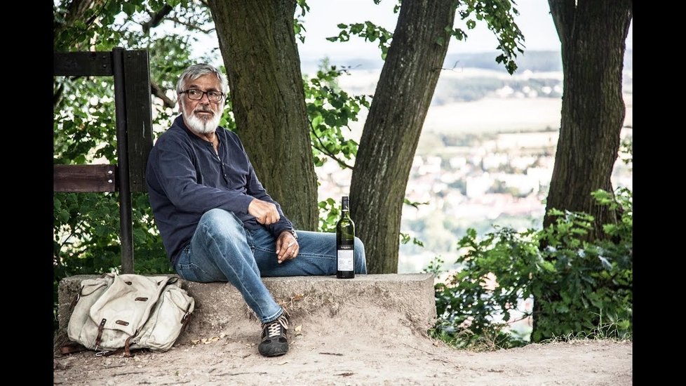 Poslední velkou fifi lmovou roli měl v Teorii tygra. (2016)