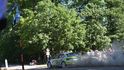 Barum Czech Rally Zlín 2026 Barum Czech Rally Zlín 2026