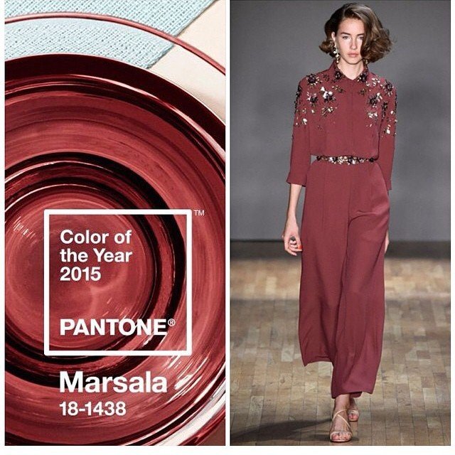 Barva roku 2015 - Marsala