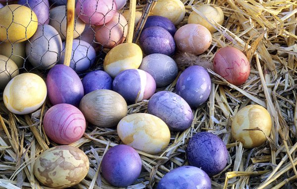 Barevná vejce k Velikonocům patří. Ale Češi si pro ně budou muset sáhnout hlouběji do kapsy