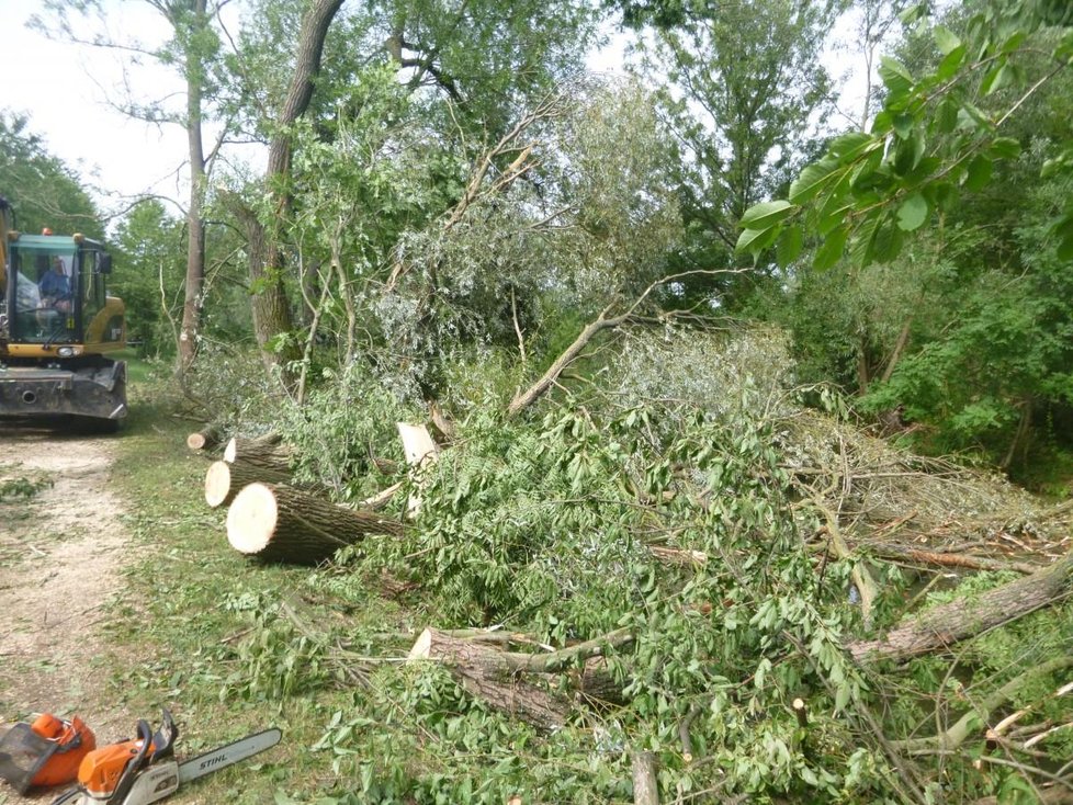 Popadané stromy si v pátek dočasně vynutily uzavření Baťova kanálu pro plavbu.