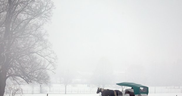 Bavorsko pod sněhem (6. 1. 2024)