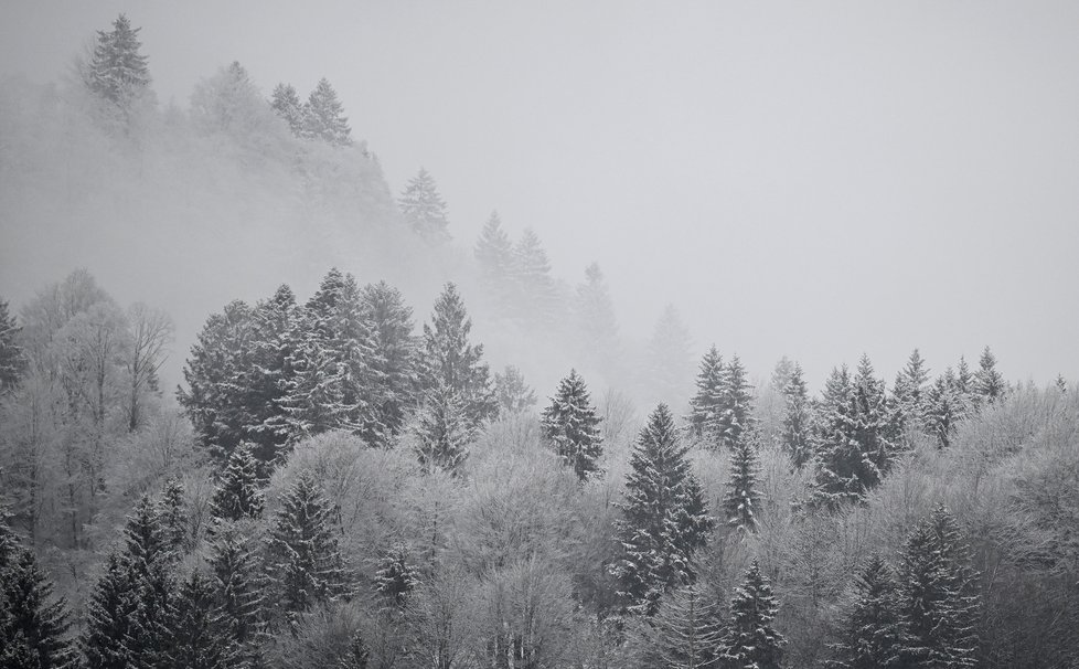 Bavorsko pod sněhem (6.1.2024)