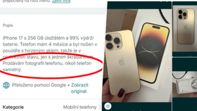 Podvodné inzeráty na internetovém bazaru