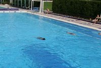 Dvouletý chlapec se utopil v bazénku
