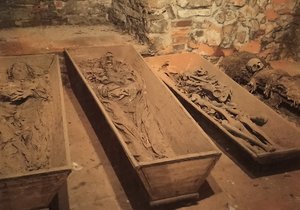 Krypta pod frýdecko-místeckou bazilikou ukrývá ostatky sedmi poutníků, deseti kněží a také šlechticů z rodu Pražmů.