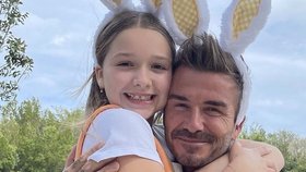 David Beckham s dcerou