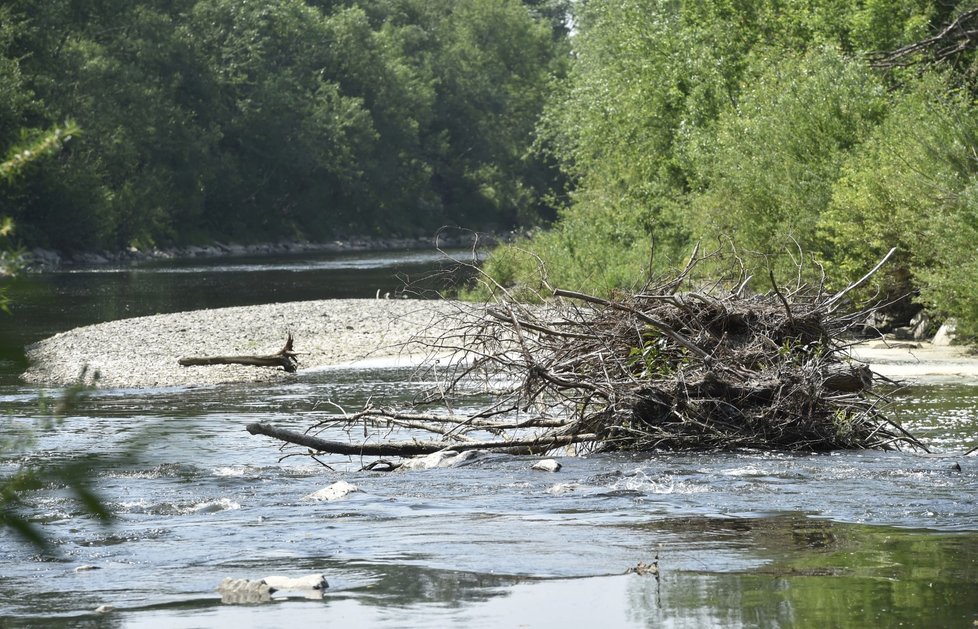 V řece Bečvě na Moravě je uprostřed jara málo vody, jelikož tuto zimu bylo málo sněhu a srážkové úhrny zaostávaly za průměrem. Hladina vody je několik centimetrů nad stavem sucha. Povodí Bečvy se s nedostatkem vody potýká už několik let a patří mezi suchem nejzasaženější povodí v zemi. Snímek řeky je z 4. května 2018 z okolí Grymova na Přerovsku, zachycené rostliny na větvích stromů v okolí řeky jsou nejméně dva metry nad současnou výškou hladiny.