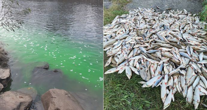 Policie provádí vyšetřovací pokus kvůli otravě Bečvy, zjišťují chování látky v toku