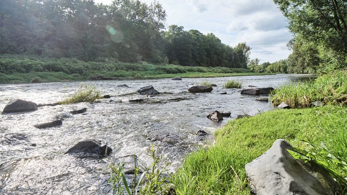 Nezjištěné množství dosud neznámé toxické látky otrávilo zhruba 40 kilometrů řeky Bečvy 
