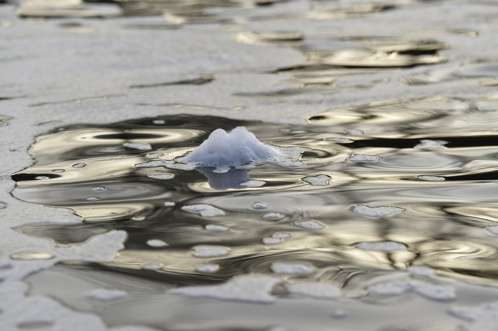 Ekologická katastofa na řece Bečvě: Uhynuly tuny ryb